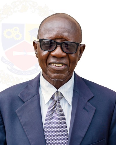 Professor Luke E. Edungbola