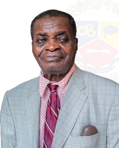 Professor Victor Olarewaju