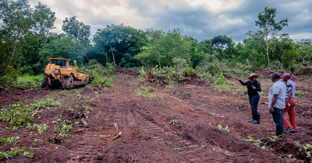 Tau Vice-chancellor Survey Site Clearing, Marks The Commencement Of A New Faculty Building Construction